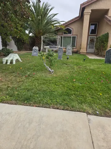 Cemetery preview